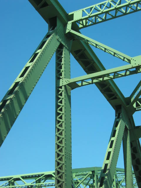 A Monkey jungle-gym?